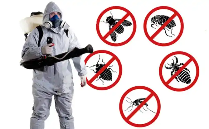 pest control Powellton